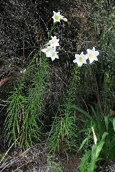 Image: Trevor James © Trevor James 